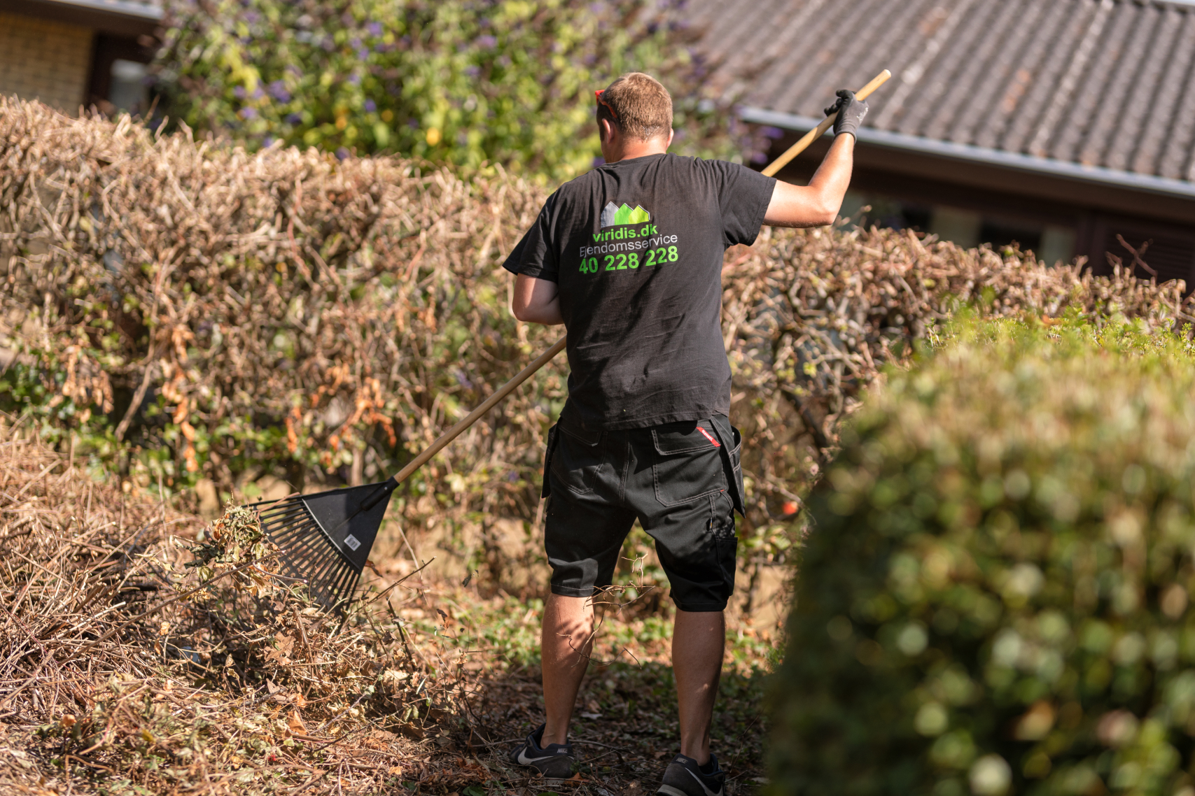 Havearbejde til virksomheder, boligforeninger og erhverv